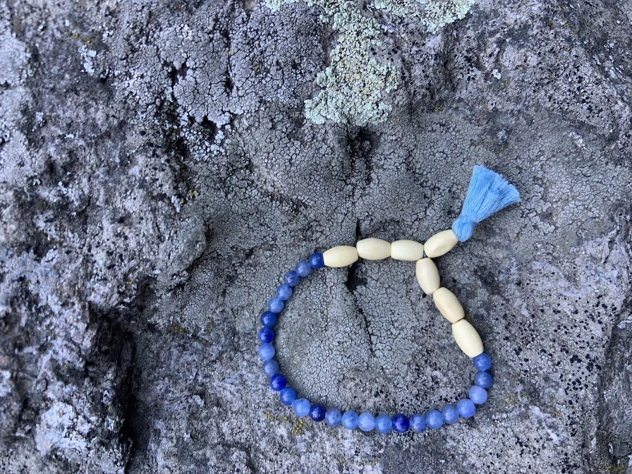 blue aventuring 1.jpg