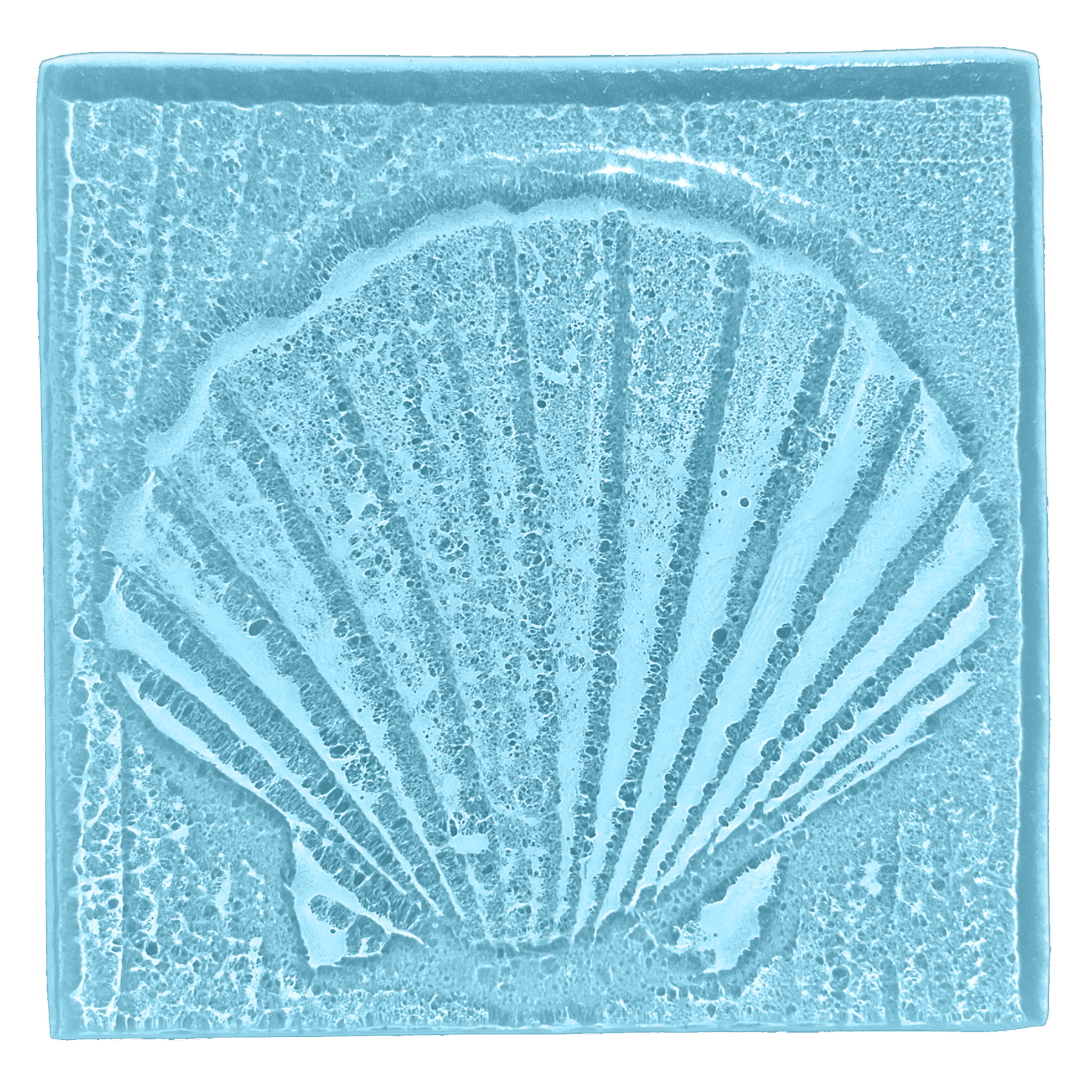 seashell-oceanblue.png