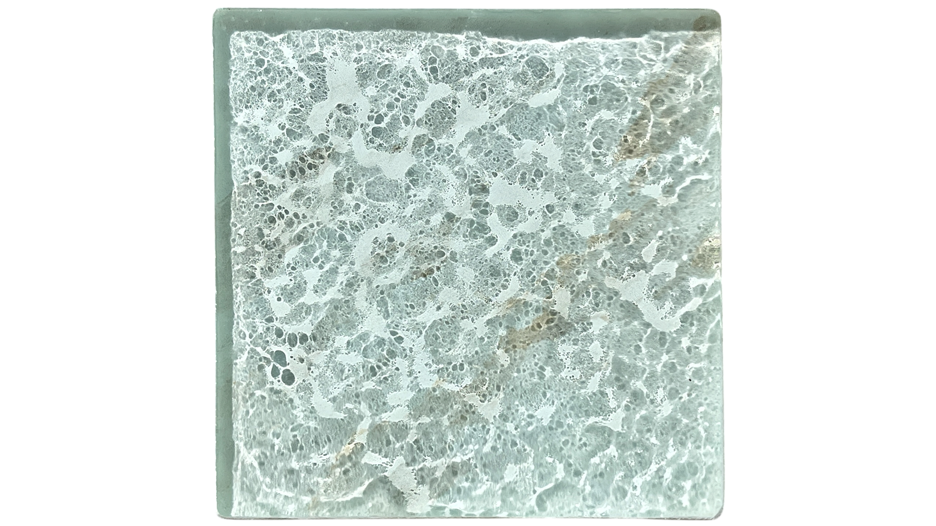 tidepool-1.PNG