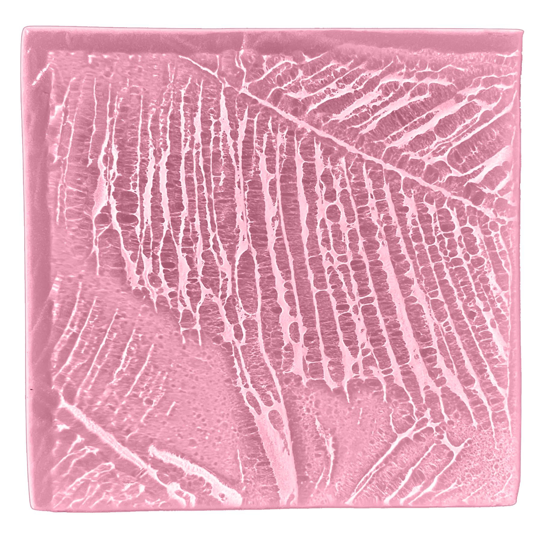 palmleaves2-blush.png