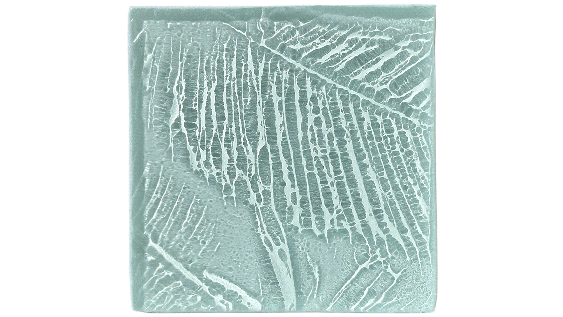 palm-leaves-square.gif