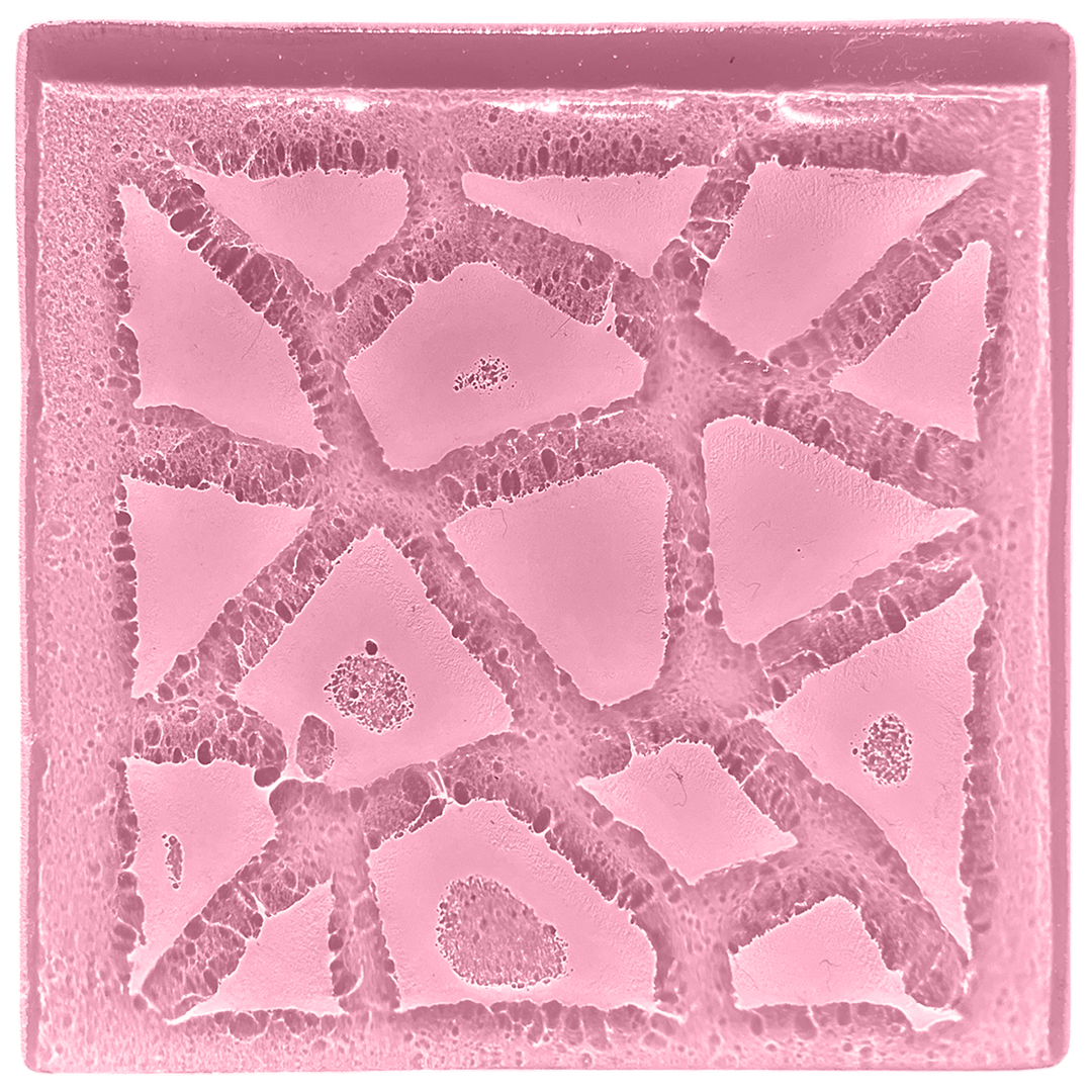 tessera-blush.png