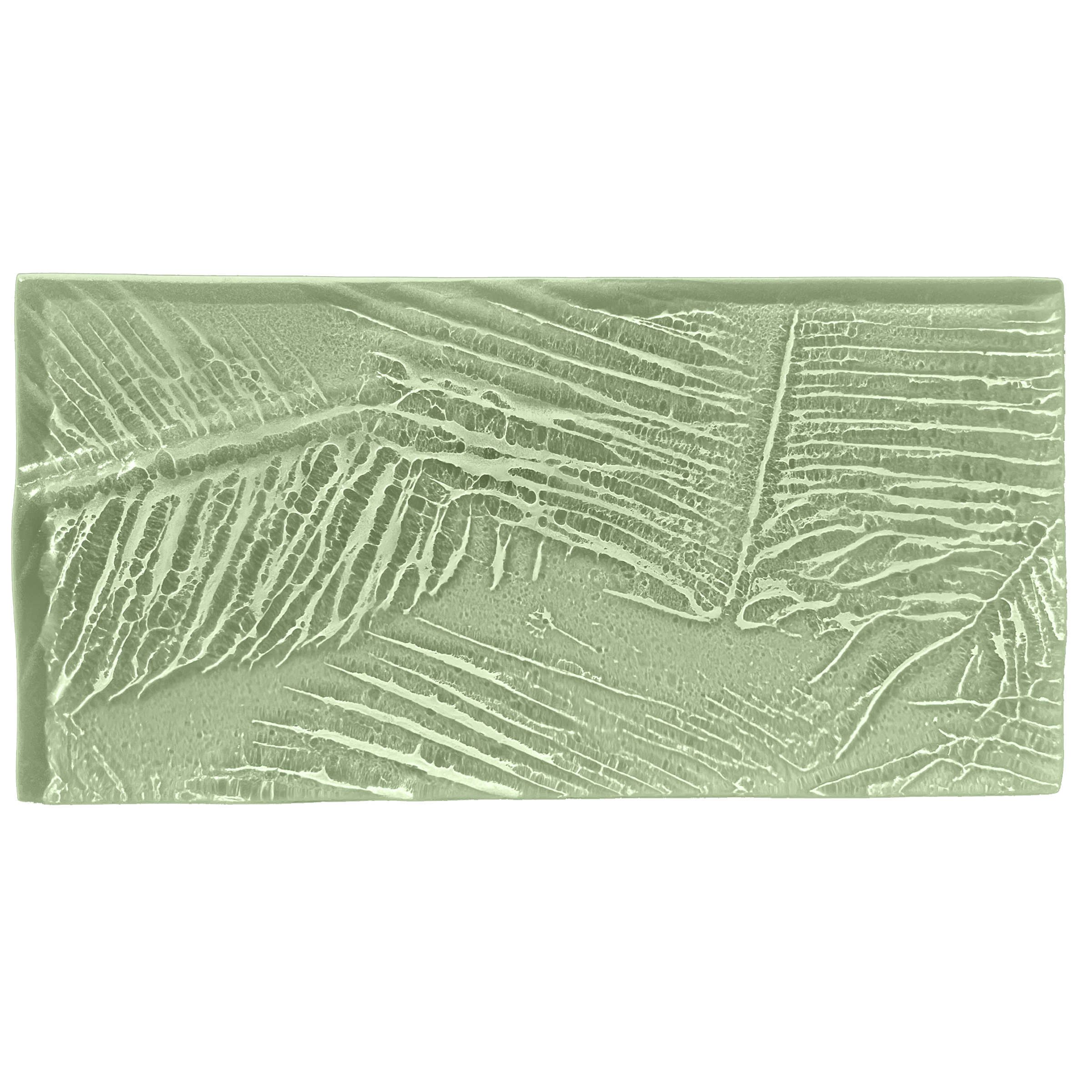 palmleaves-seaglass.png