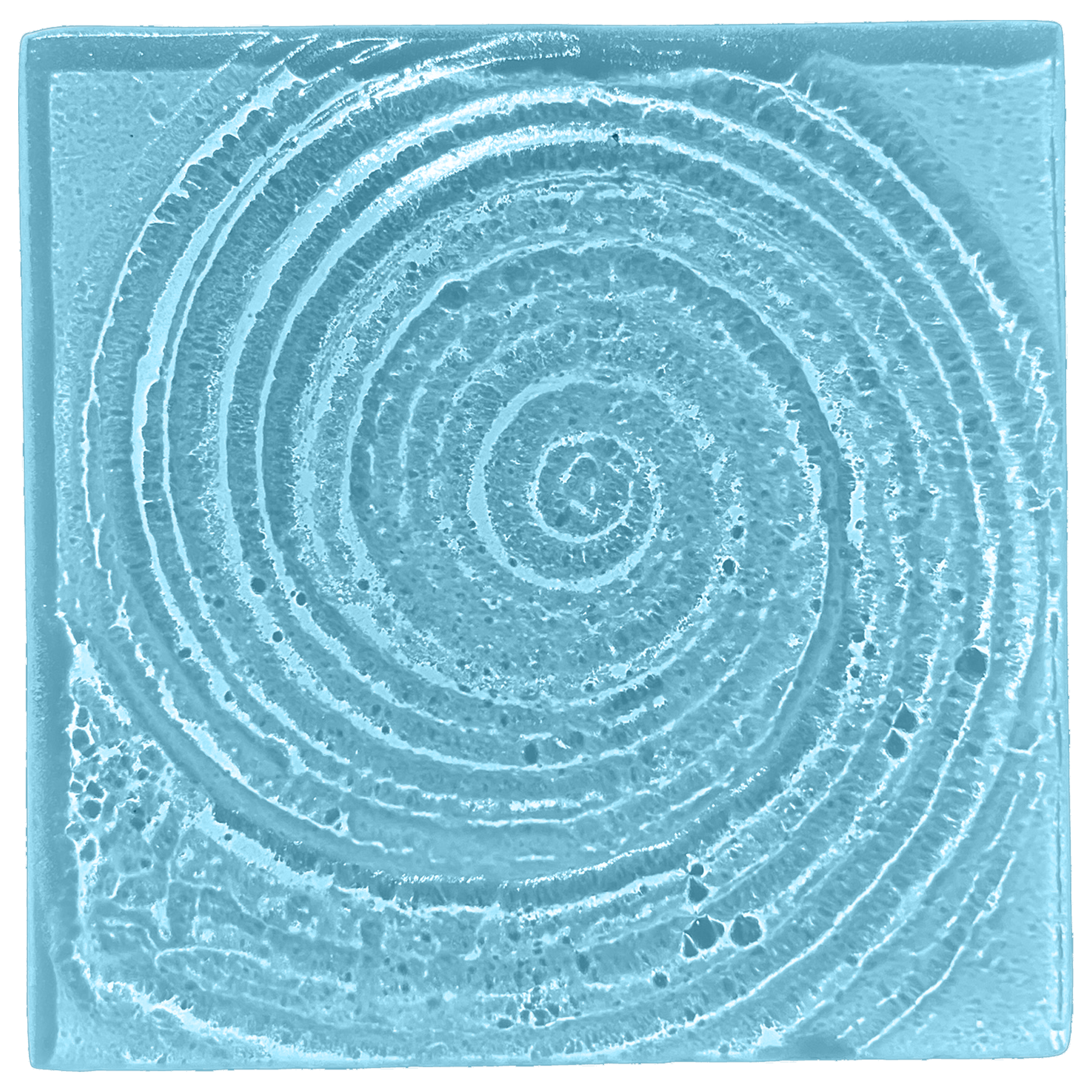 spiral-shell-oceanblue.png