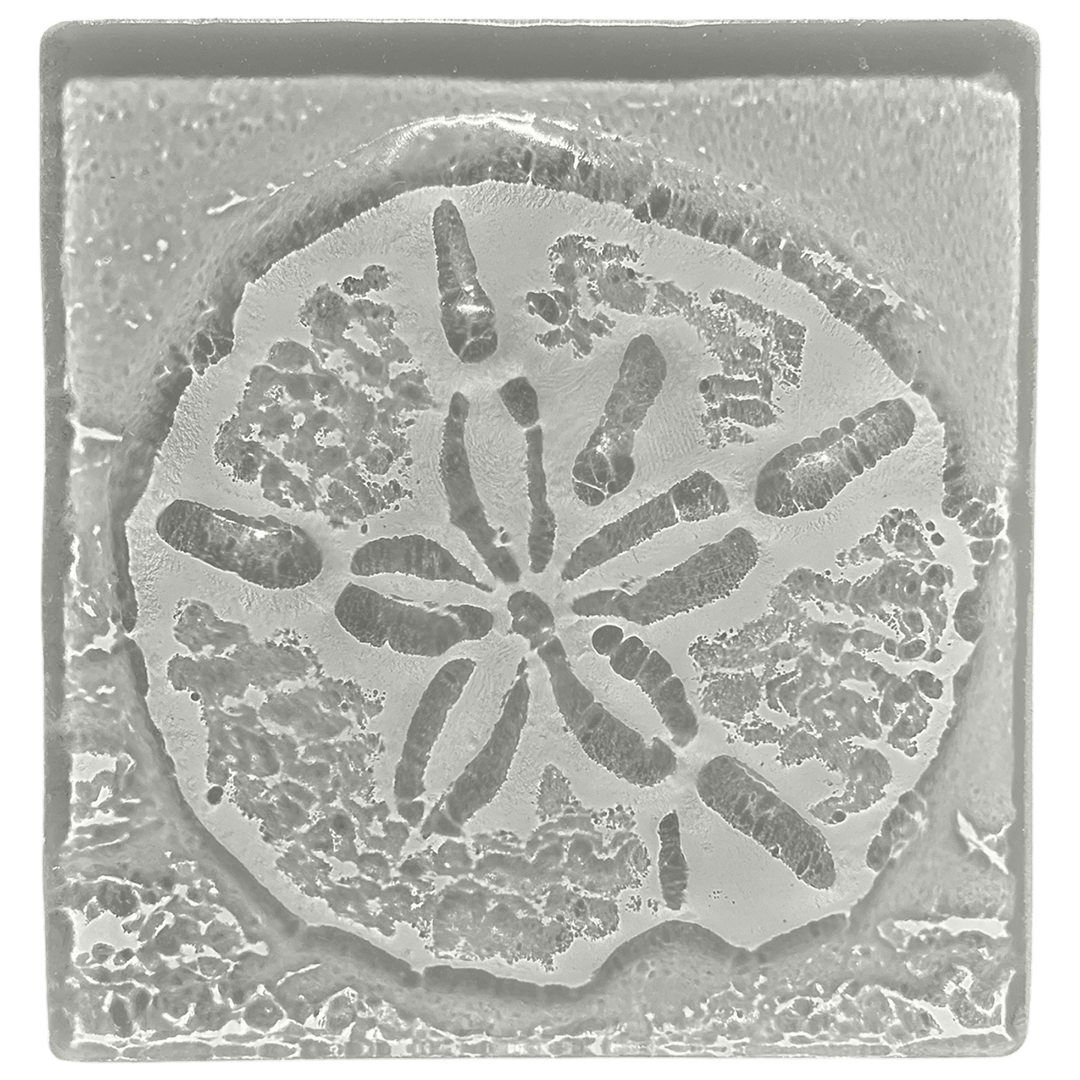 sand-dollar-gray.png