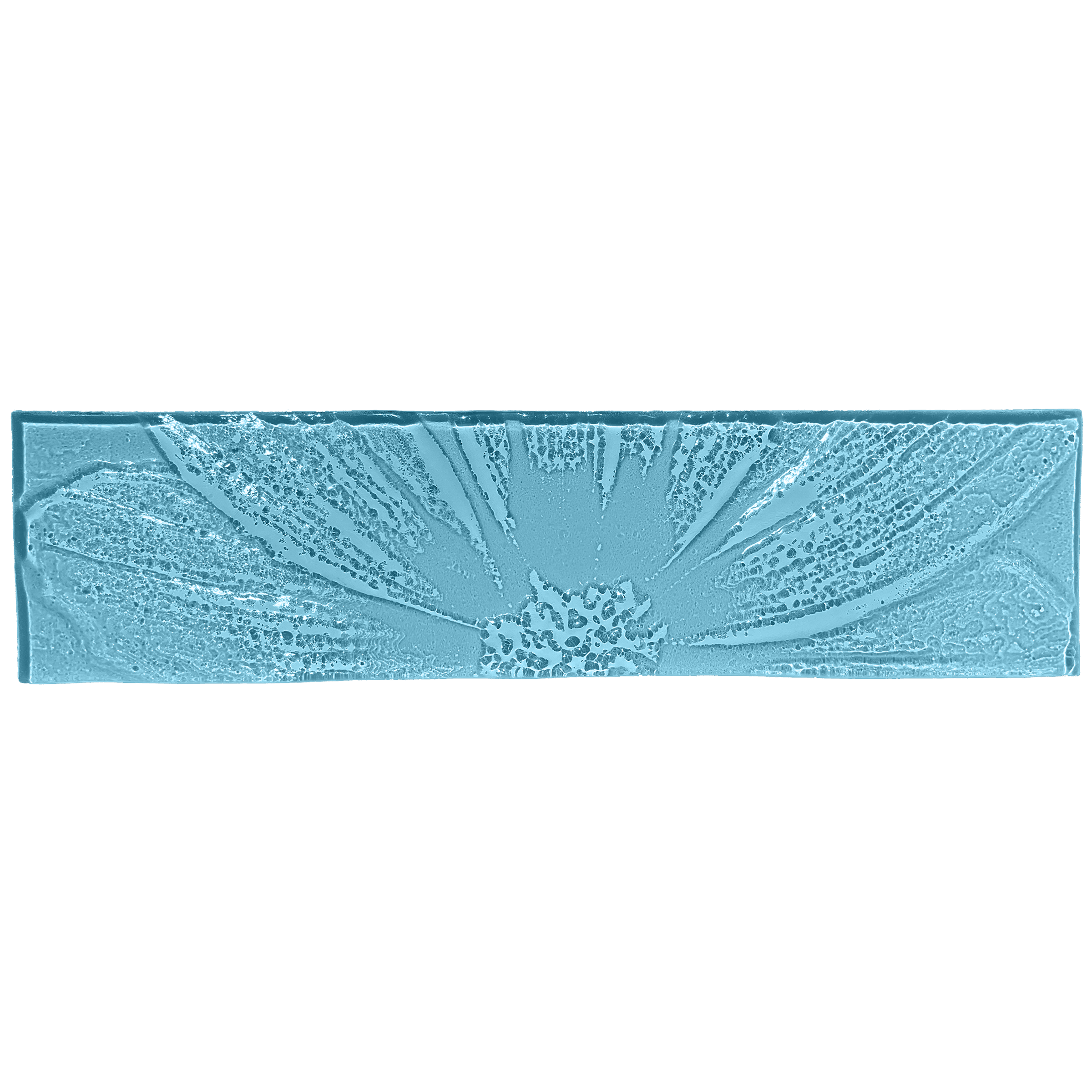 macroflower-oceanblue.png