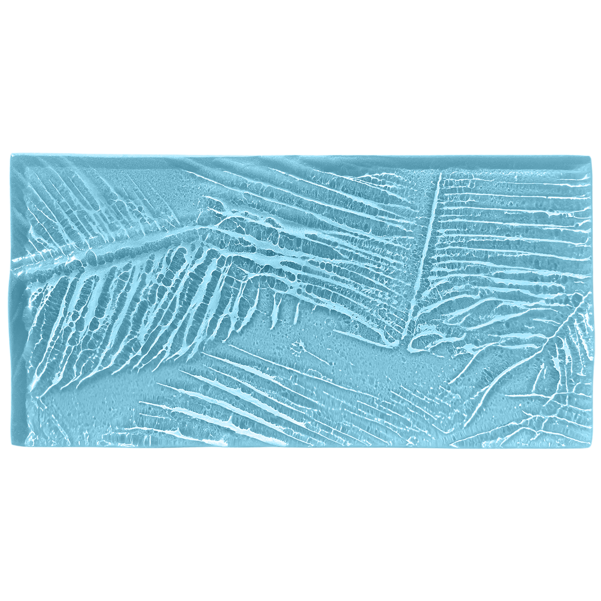 palmleaves-wide blue copy.png