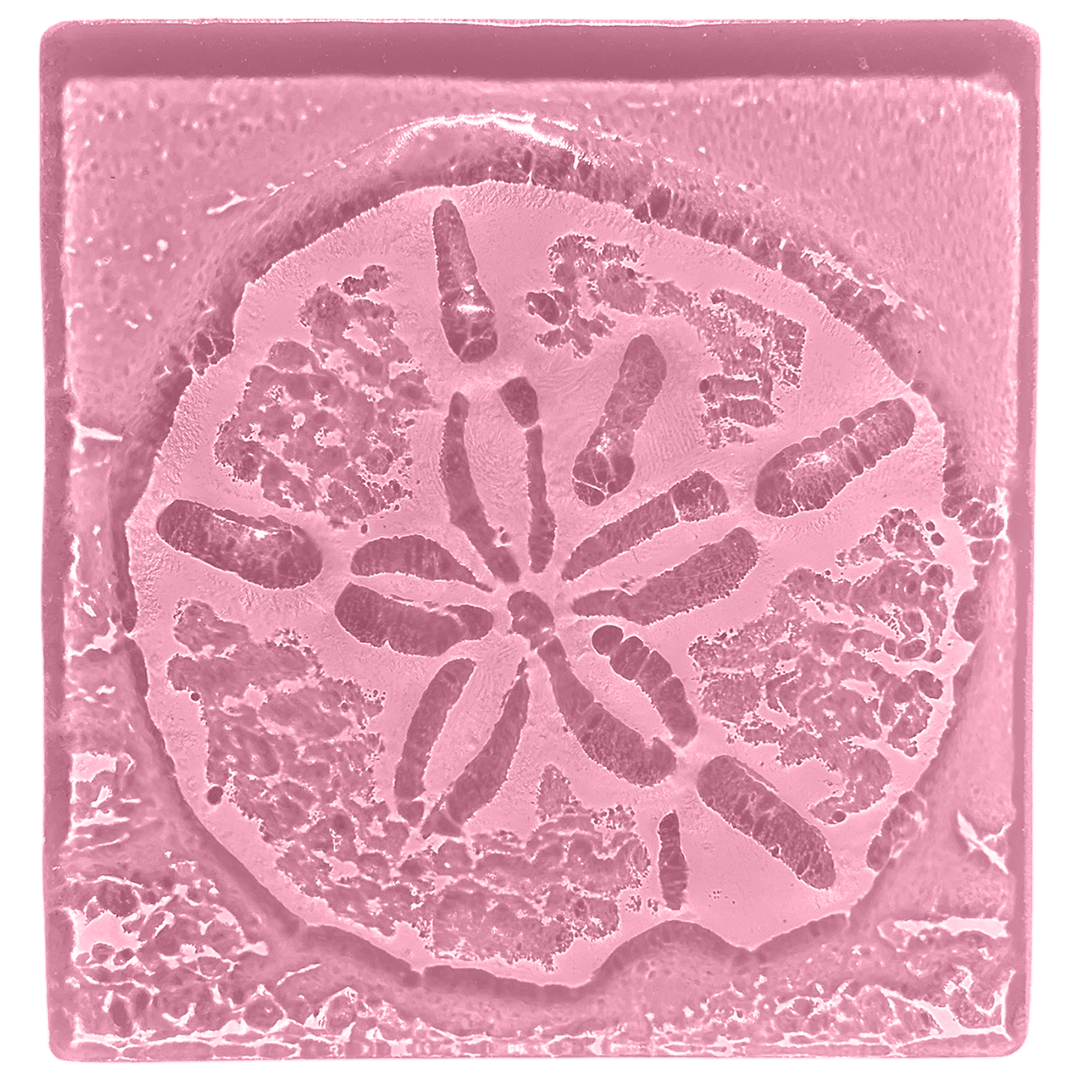 sand-dollar-blush.png