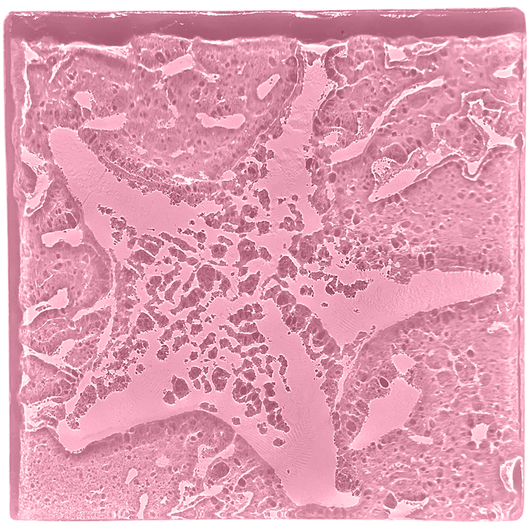 starfish-blush.png