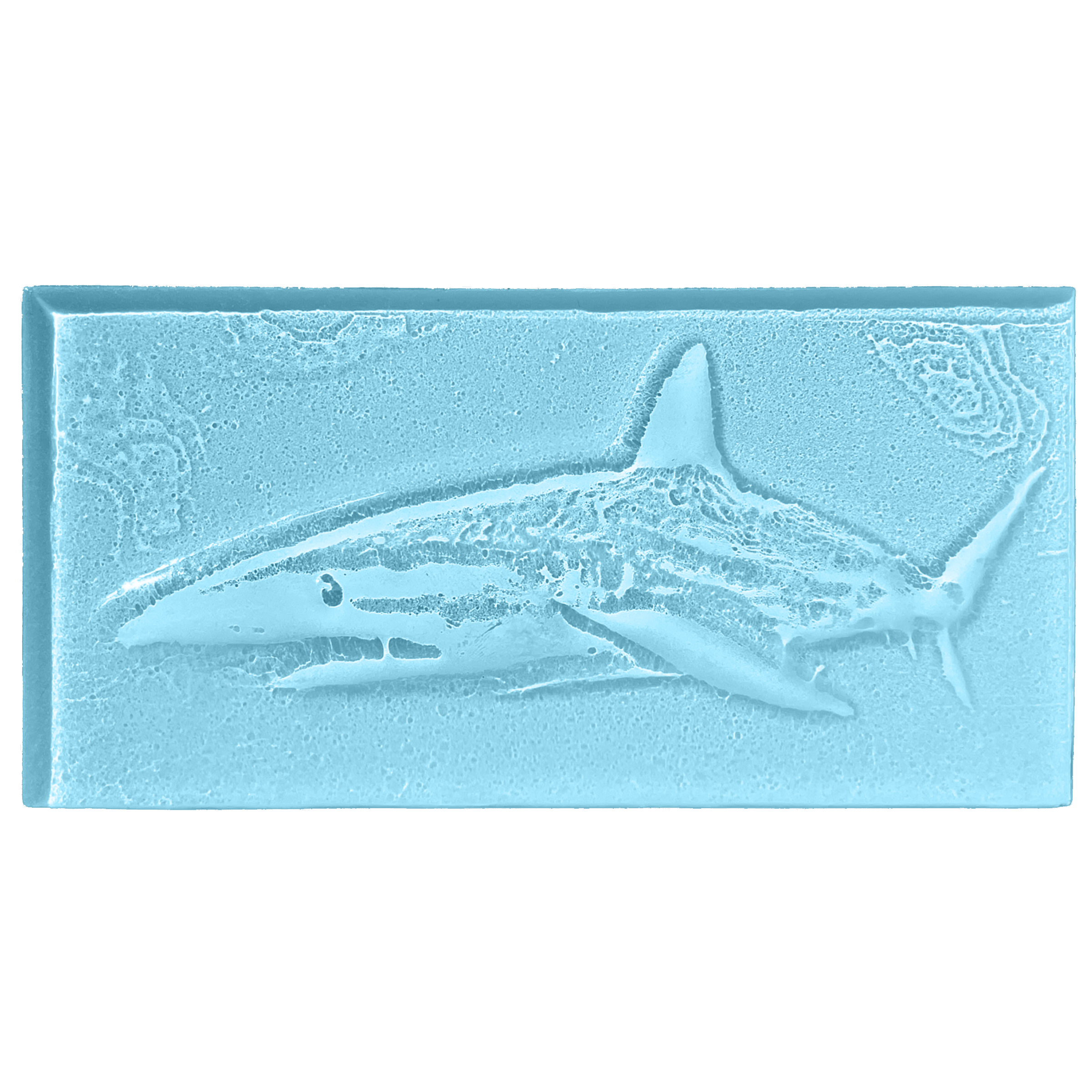 shark-oceanblue.png