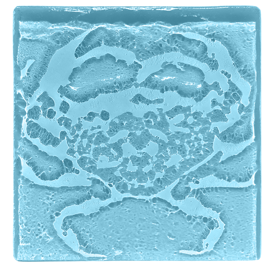 crab-blue.png