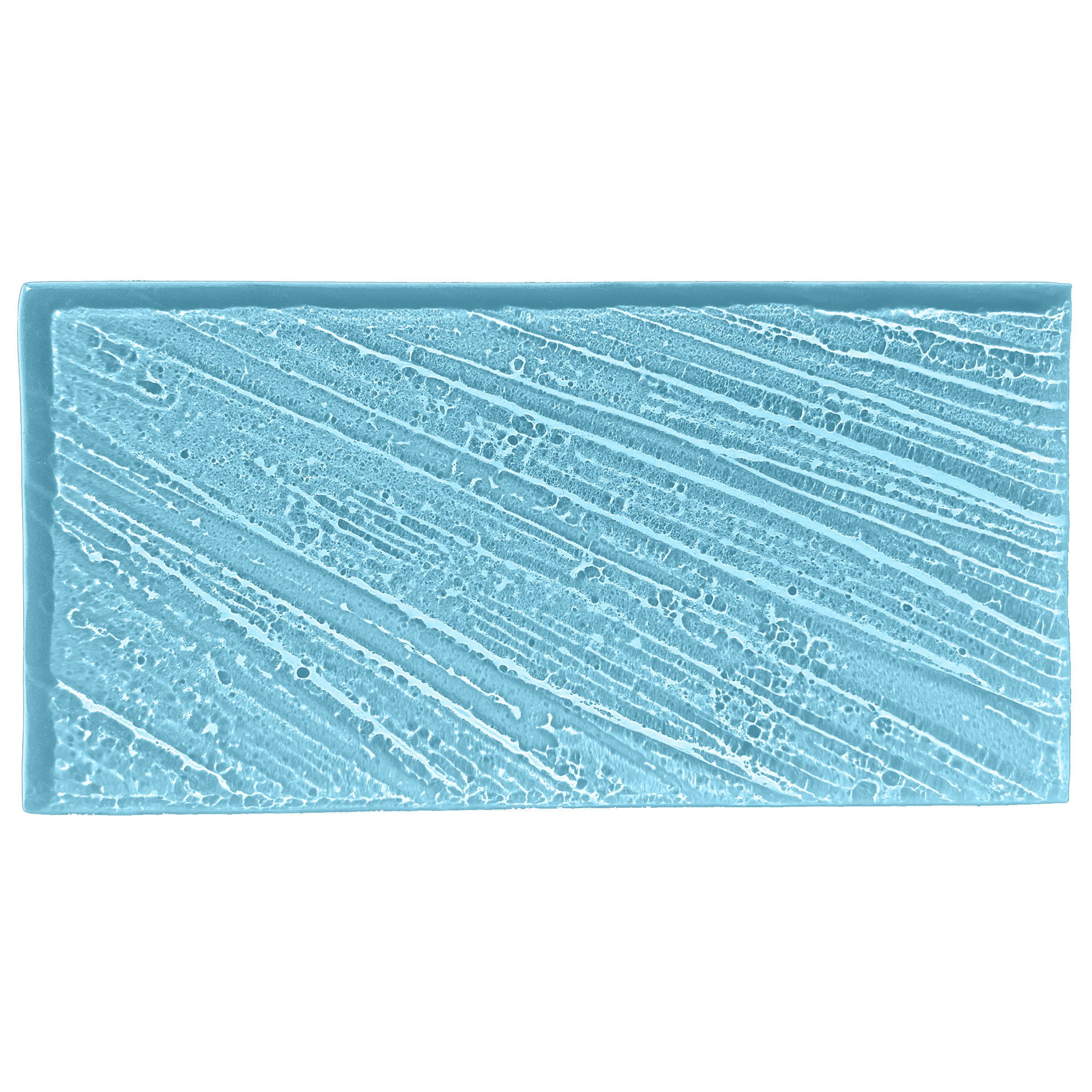 palmfan-oceanblue.png