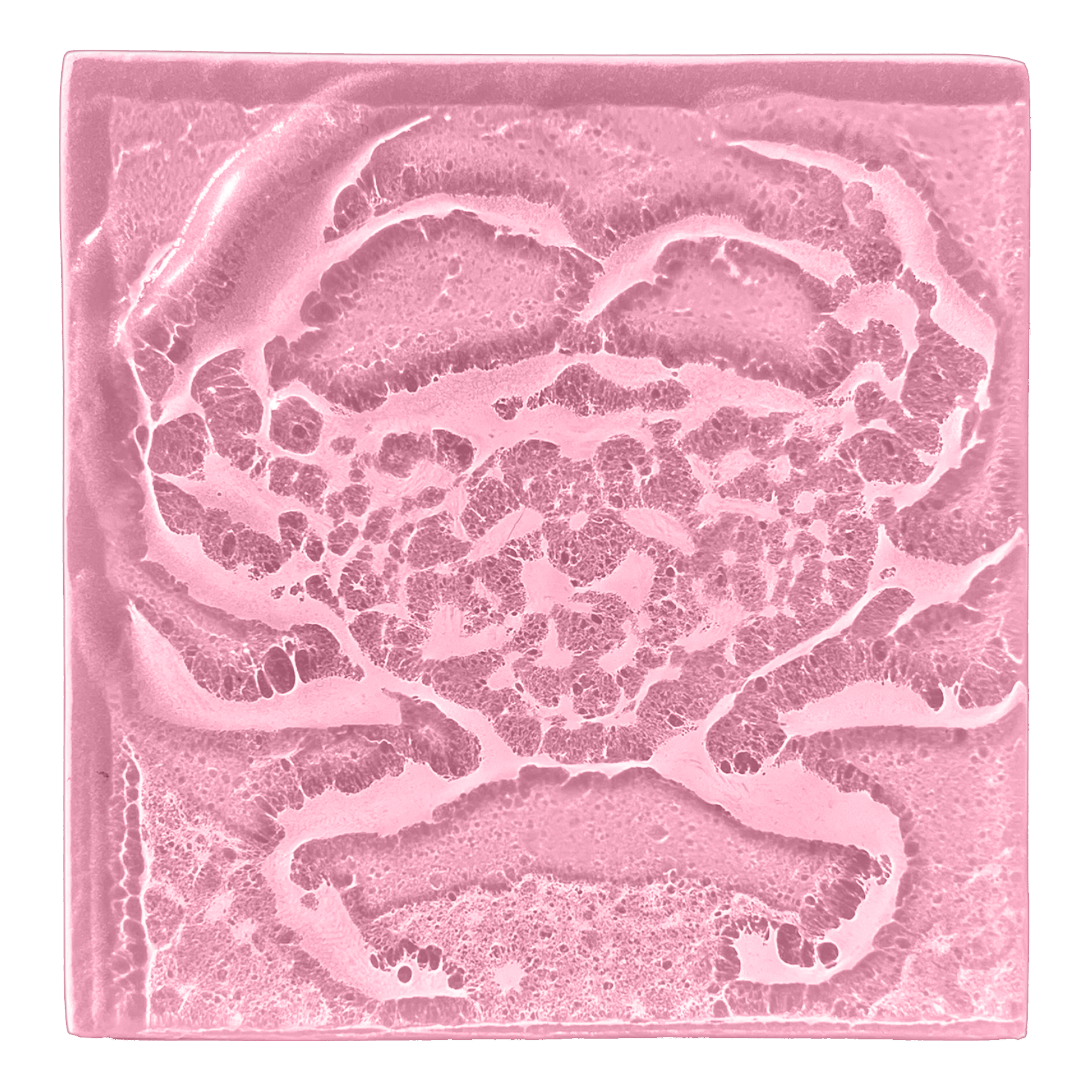 crab-blush.png