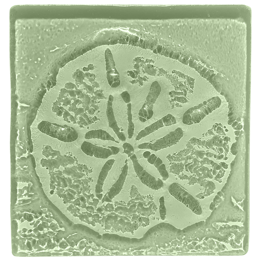 sand-dollar-seaglass.png