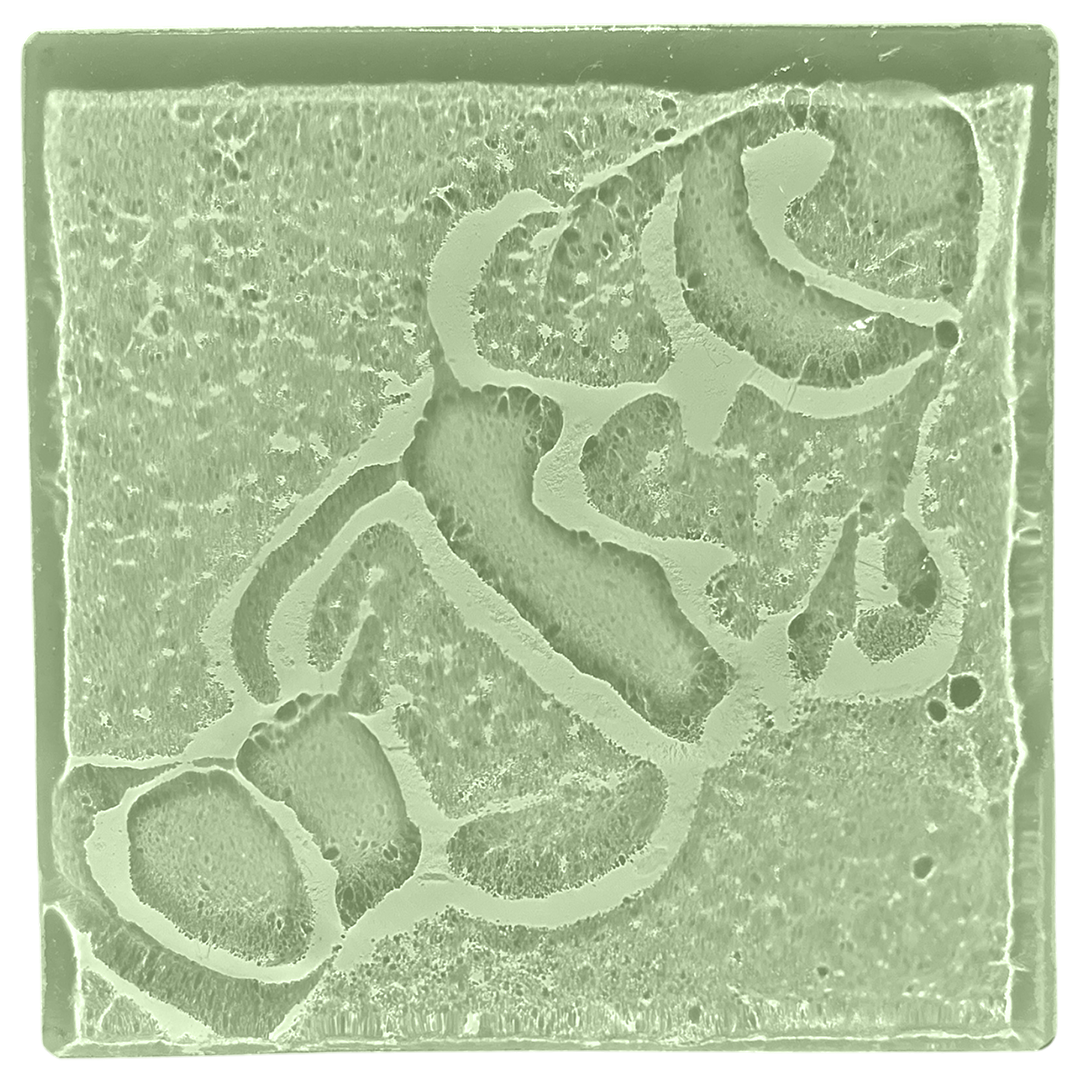 clown-fish-seaglass.png