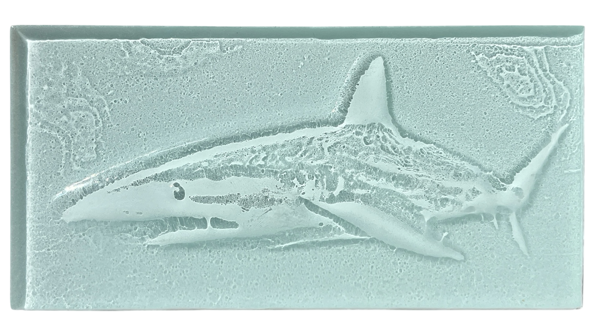 shark.png