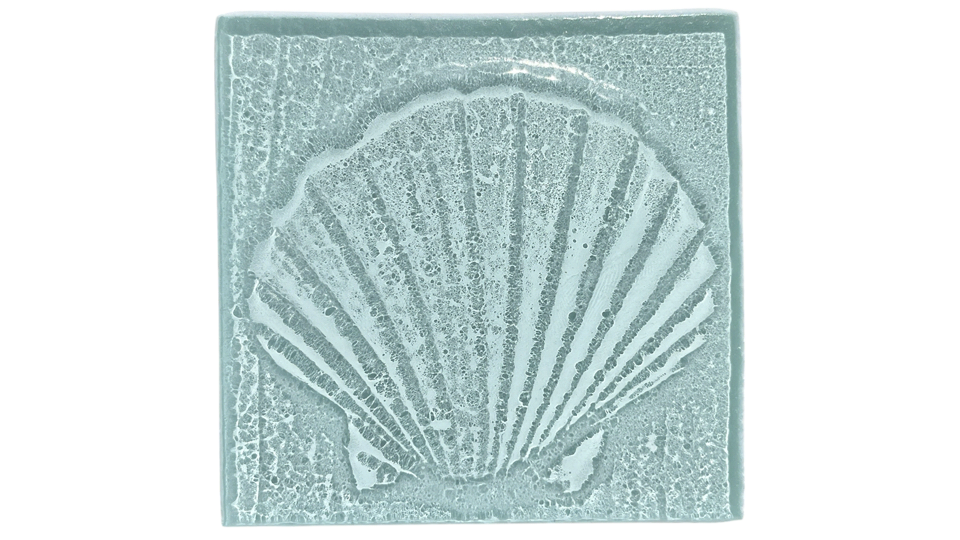 seashell.gif