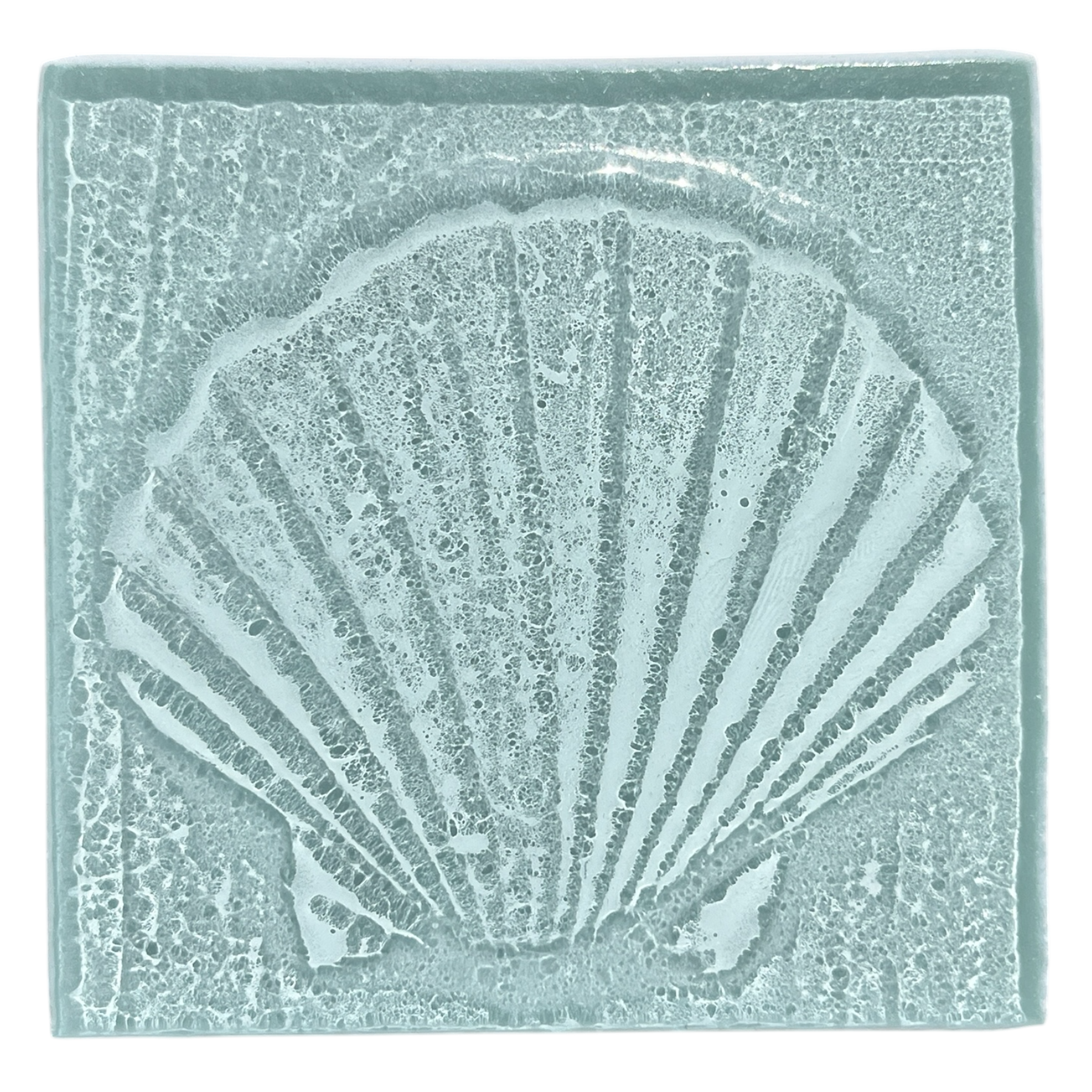 seashell-skywhite.png