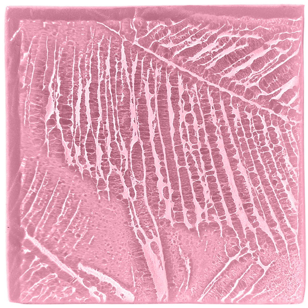 palmleaves2-blush.png