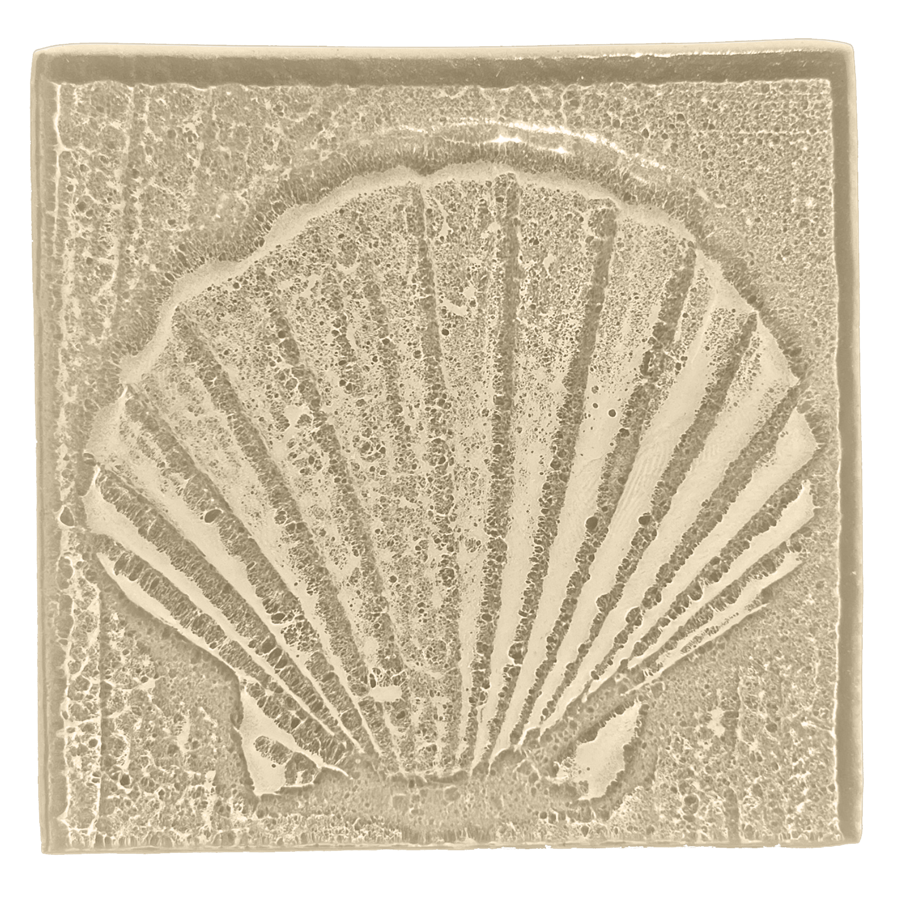 seashell-taupe.png