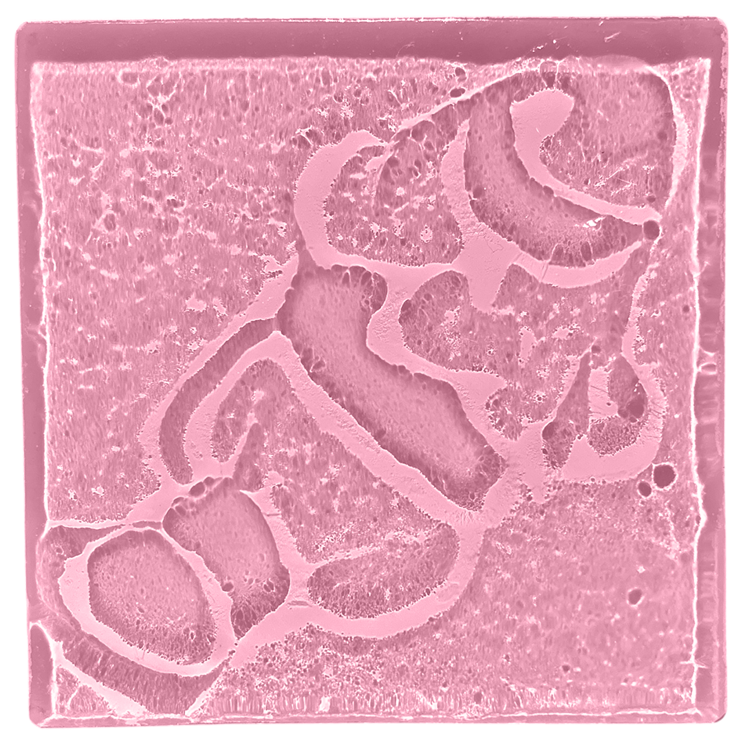 clown-fish-blush.png