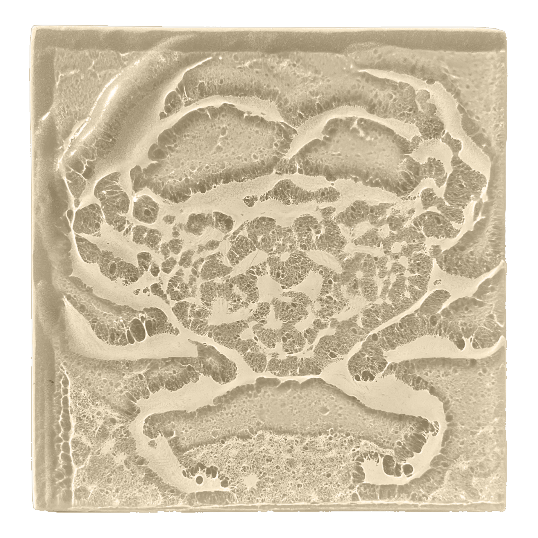 crab-taupe.png