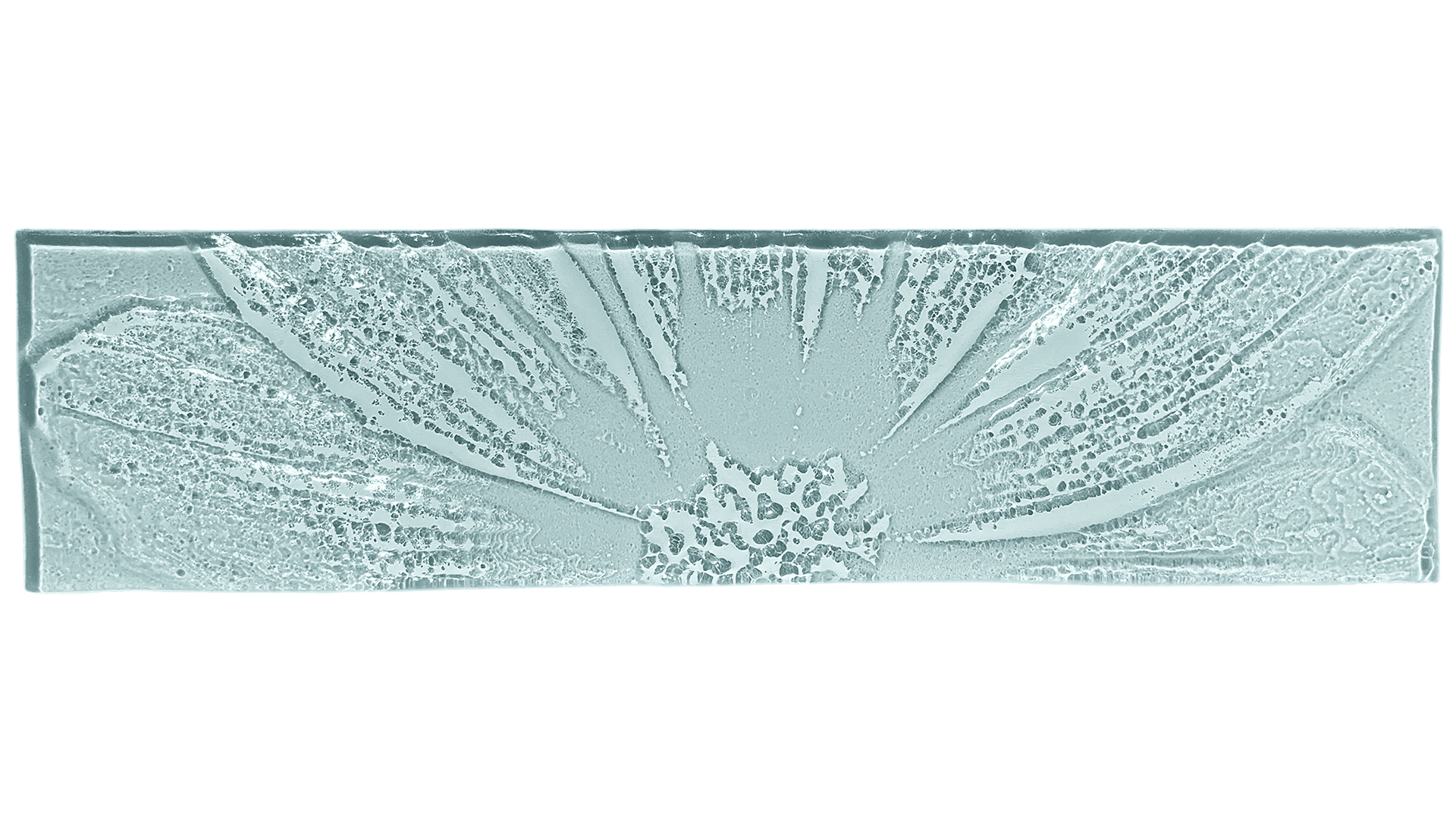 macro-flower.gif