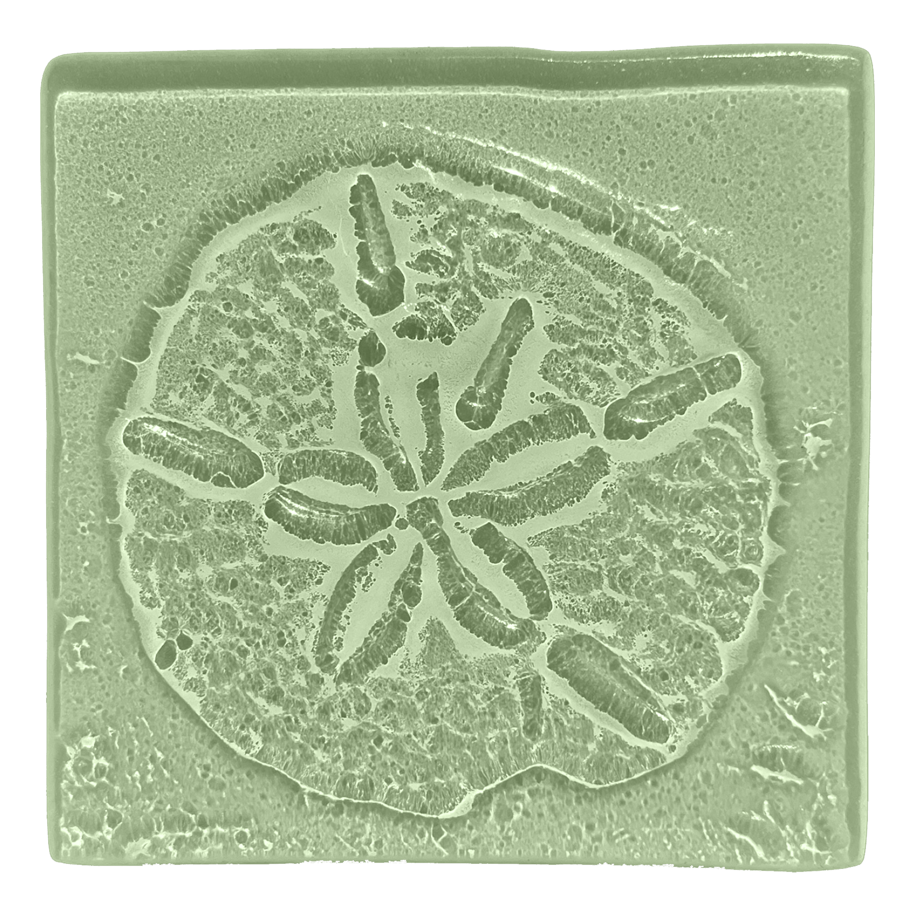 sanddollar-seaglass.png