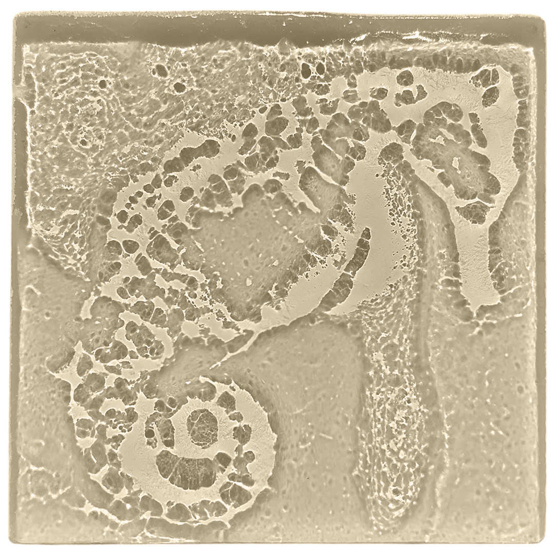 seahorse-taupe.png
