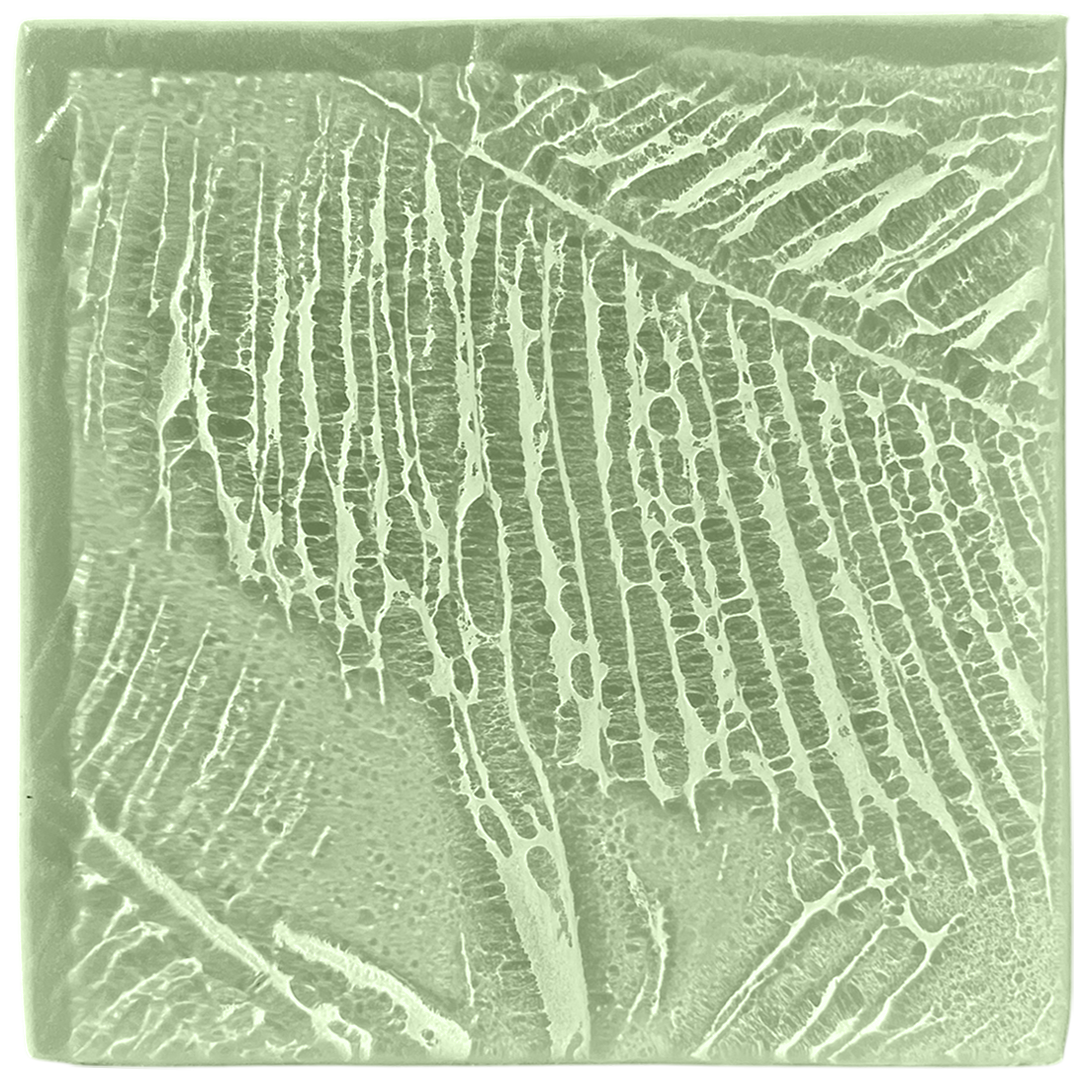 palmleaves2-seaglass.png