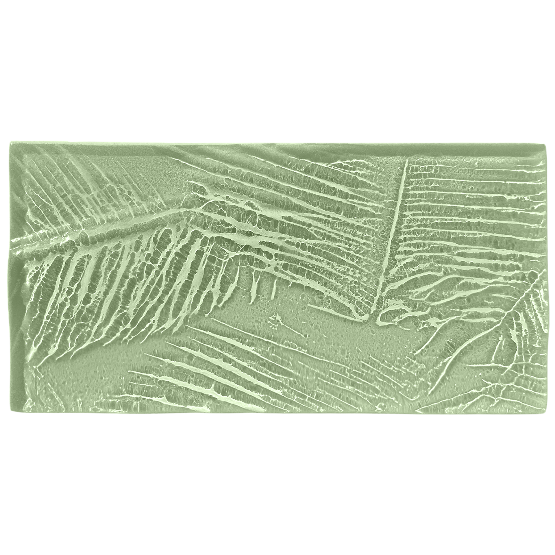 palmleaves-wide seaglass copy.png