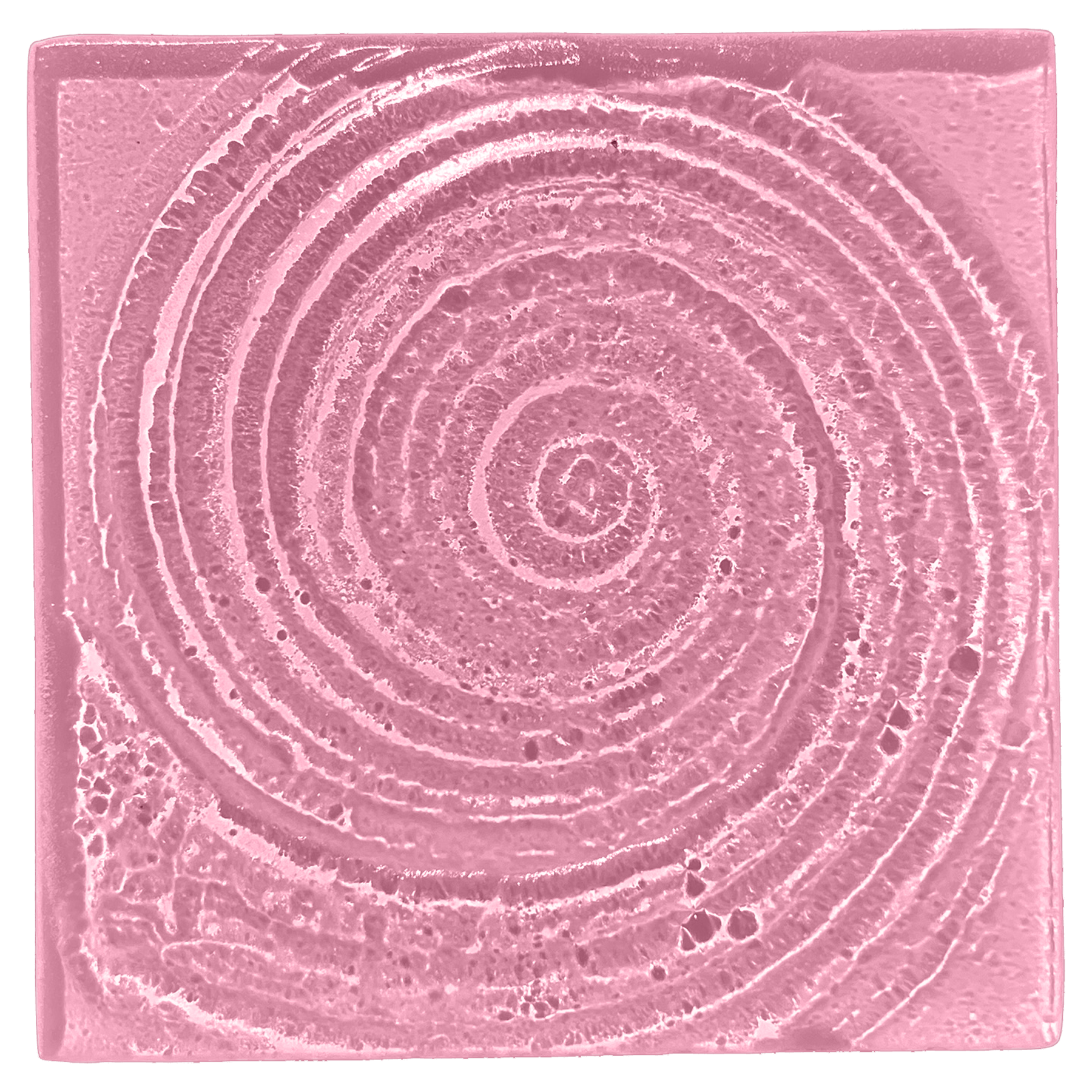 spiral-shell-blush.png