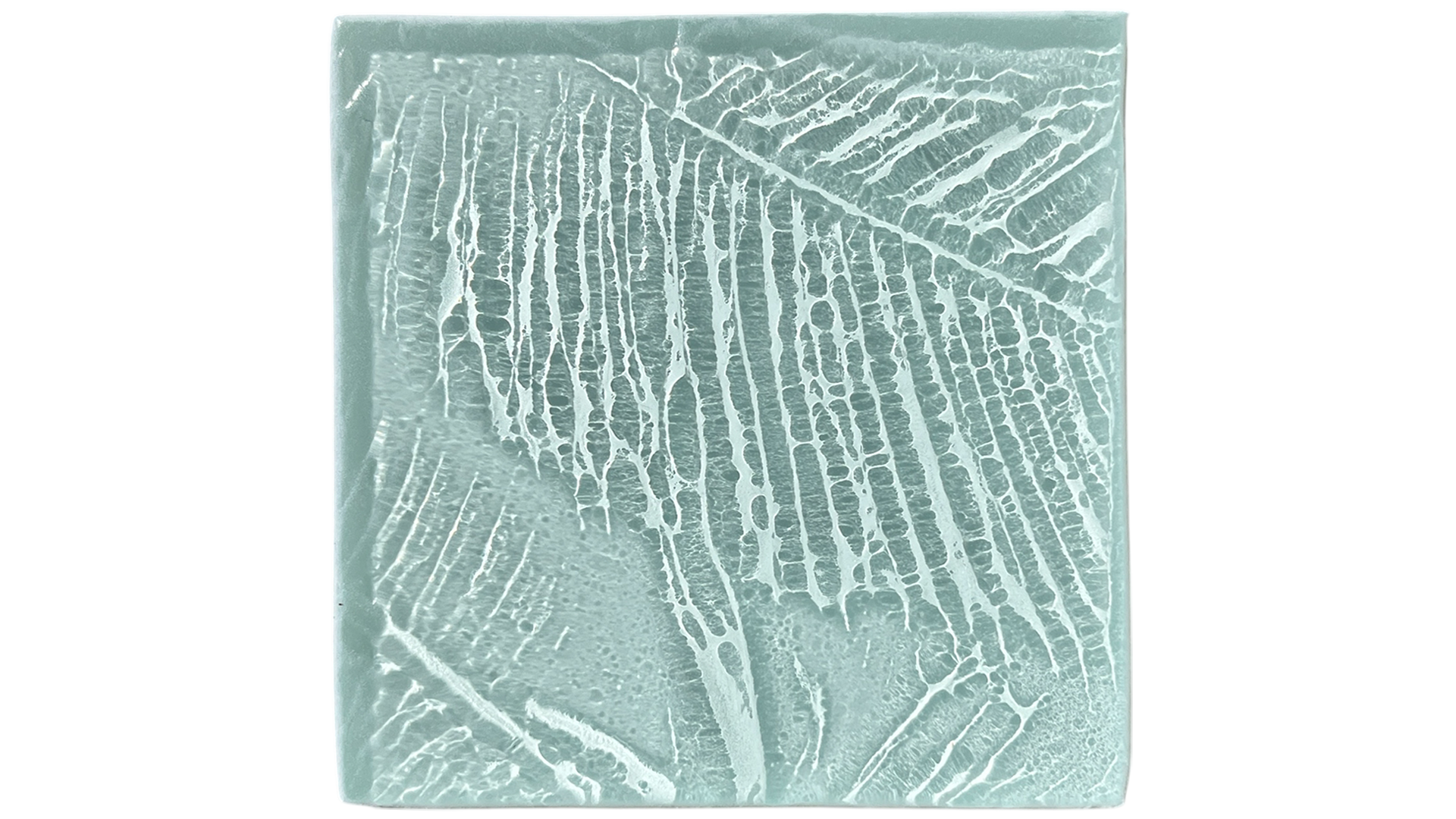 palmleaves.png