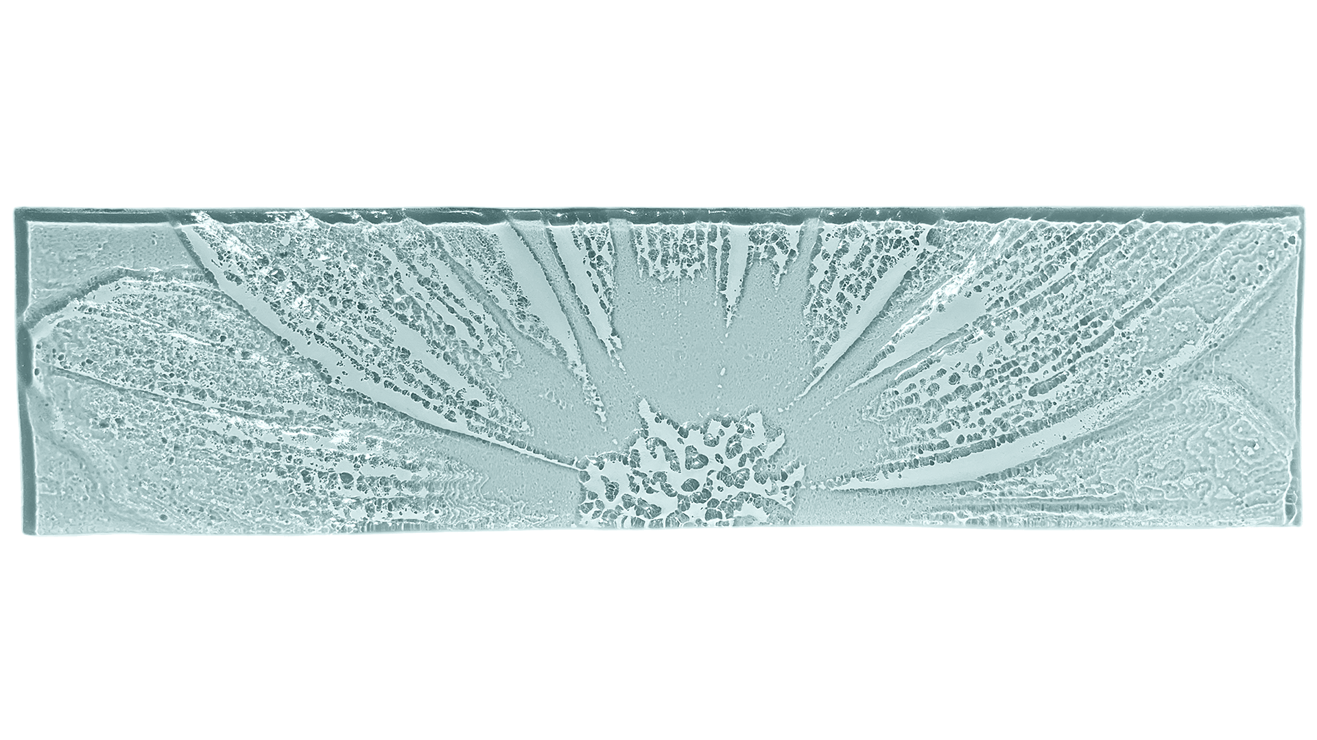 macroflower.png