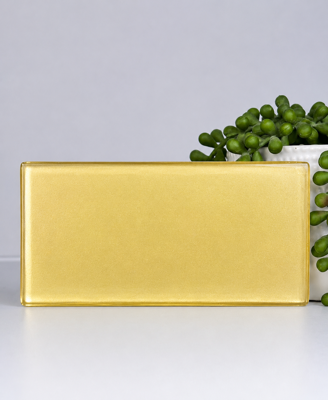 A gold-colored rectangular box placed on a white surface, with a potted green succulent plant behind and to the right, against a plain light gray background.