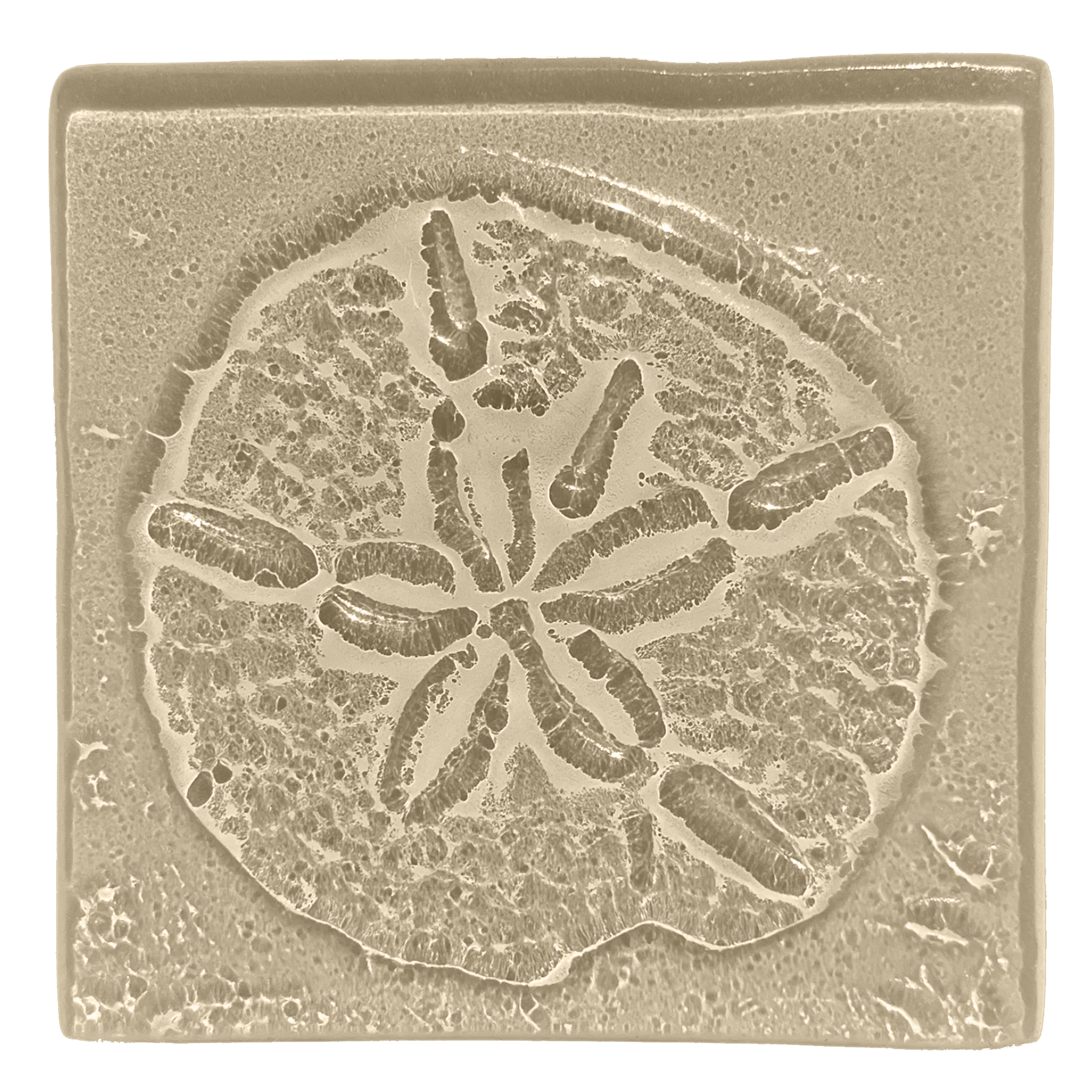 sanddollar-taupe.png