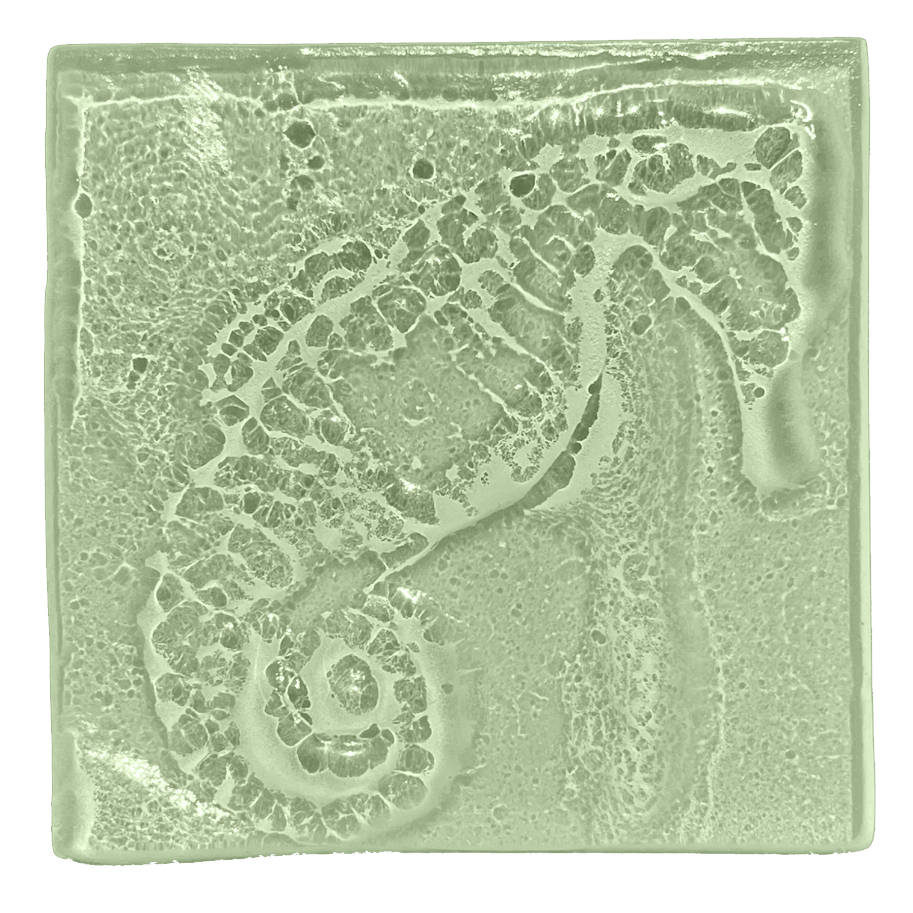 seahorse-seaglass.png