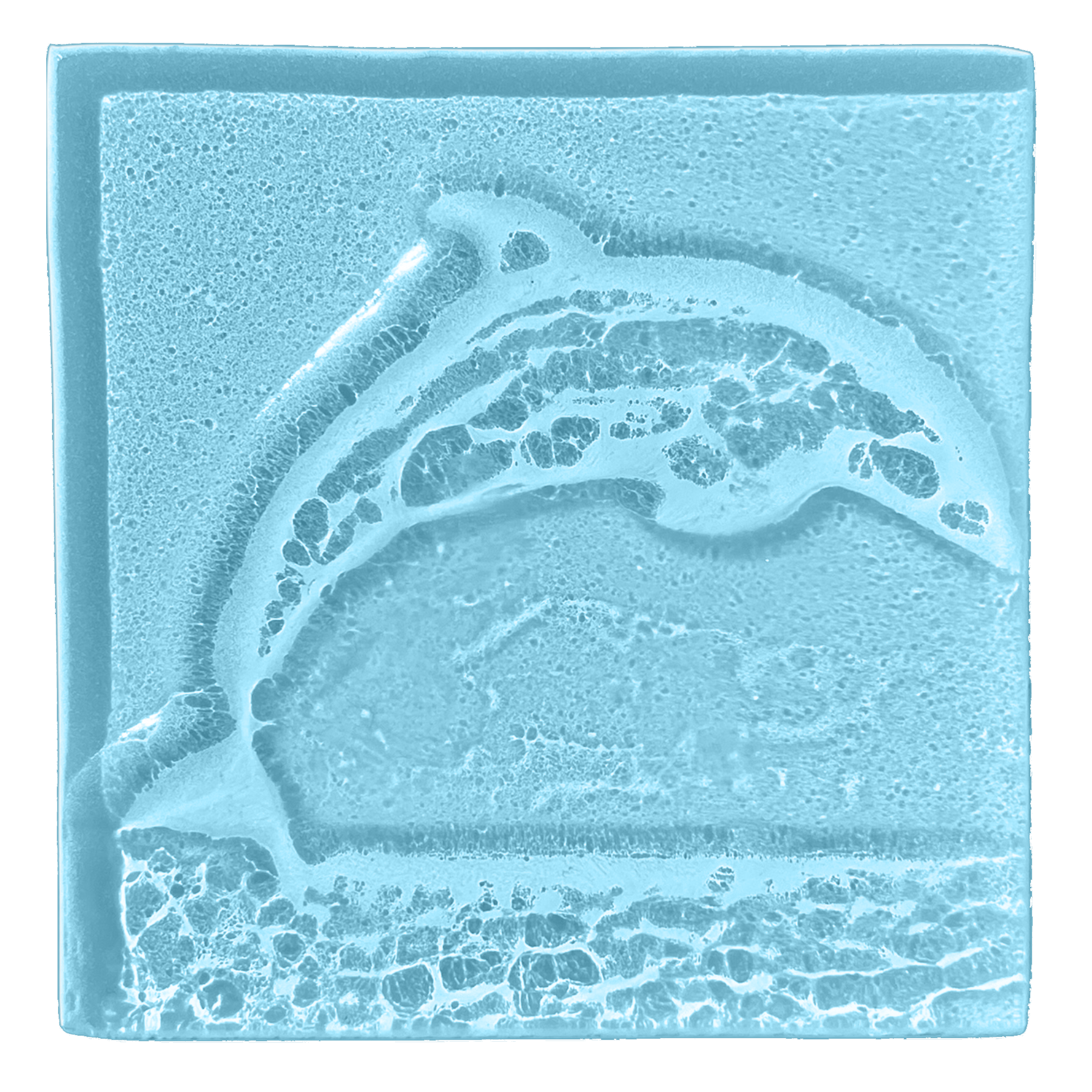 dolphin-oceanblue.png