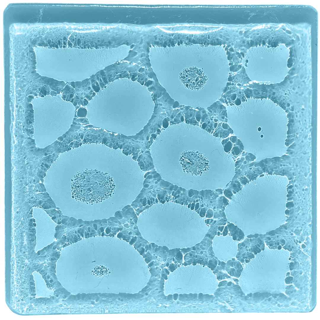 spume-blue.png