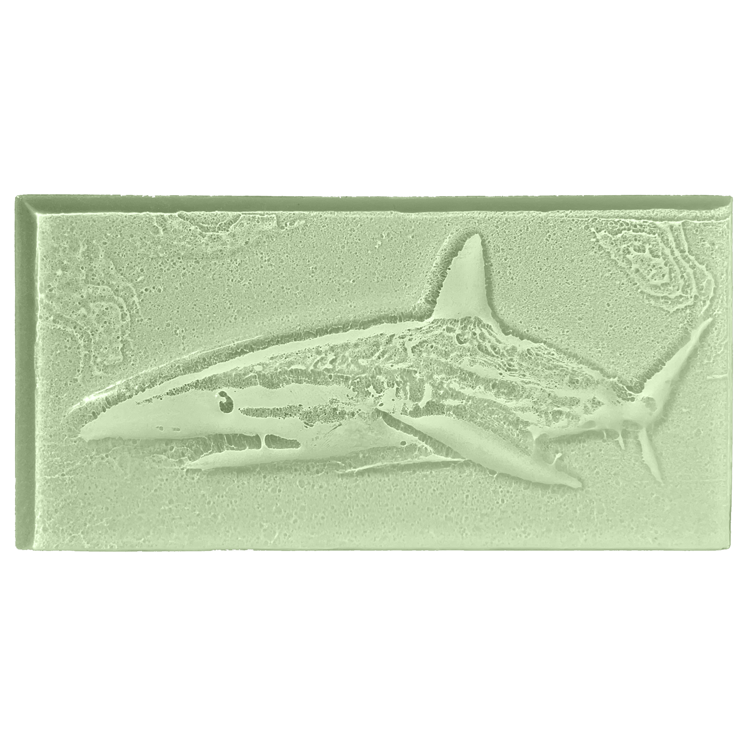 shark-seaglass.png