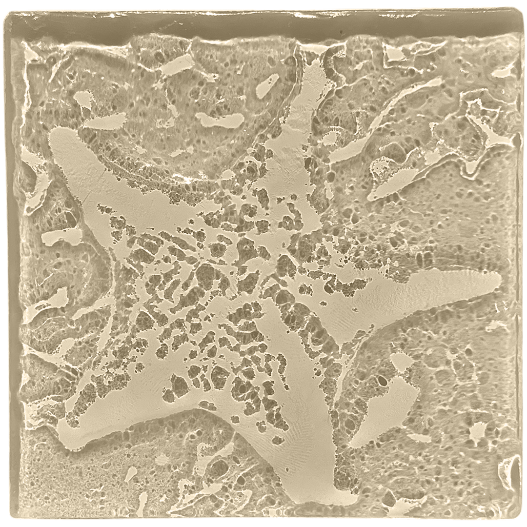 starfish-taupe.png