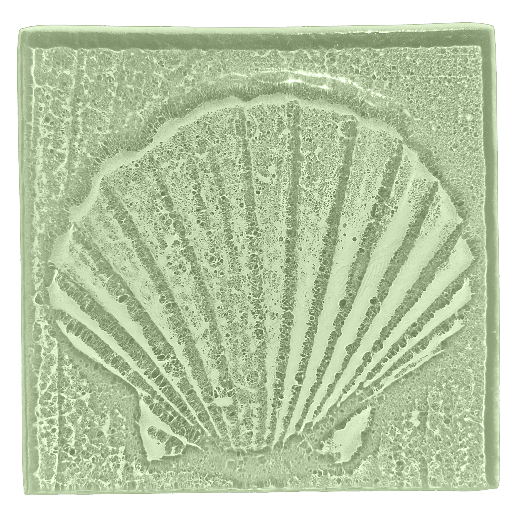 seashell-seaglass.png