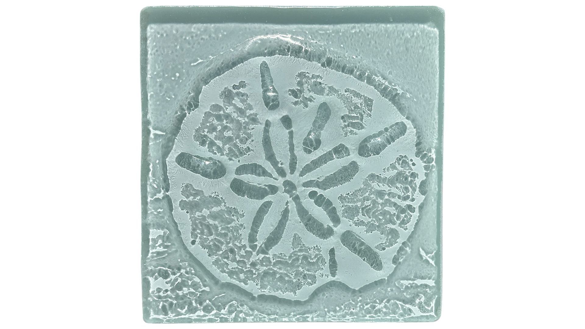 sand-dollar.PNG