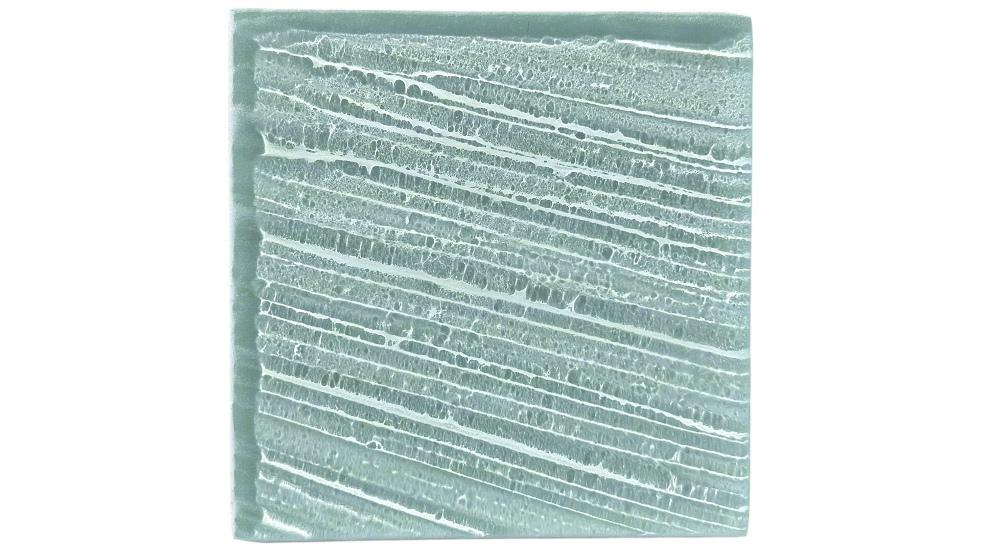 palmfan2.gif