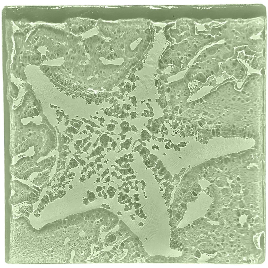 starfish-seaglass.png