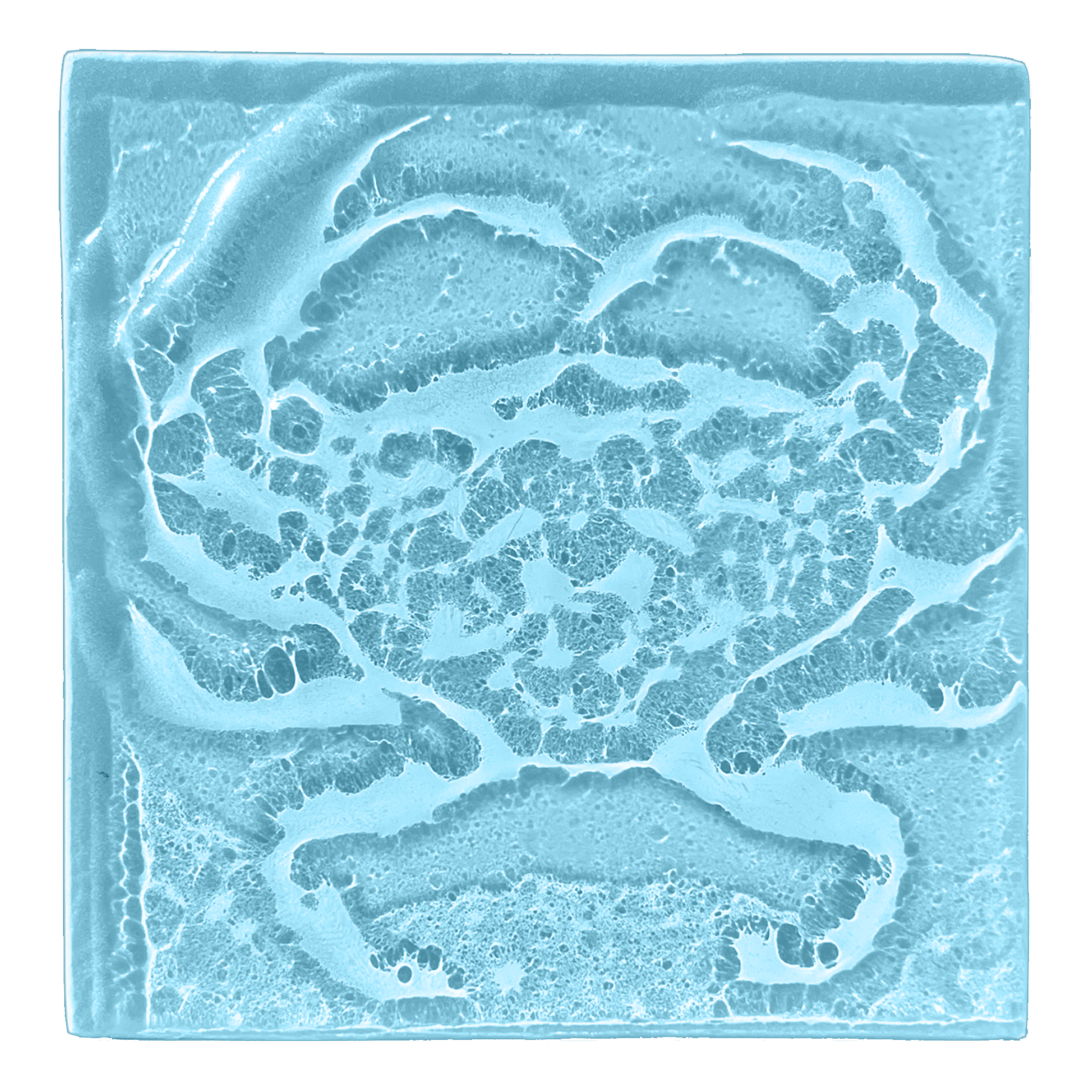 crab-oceanblue.png