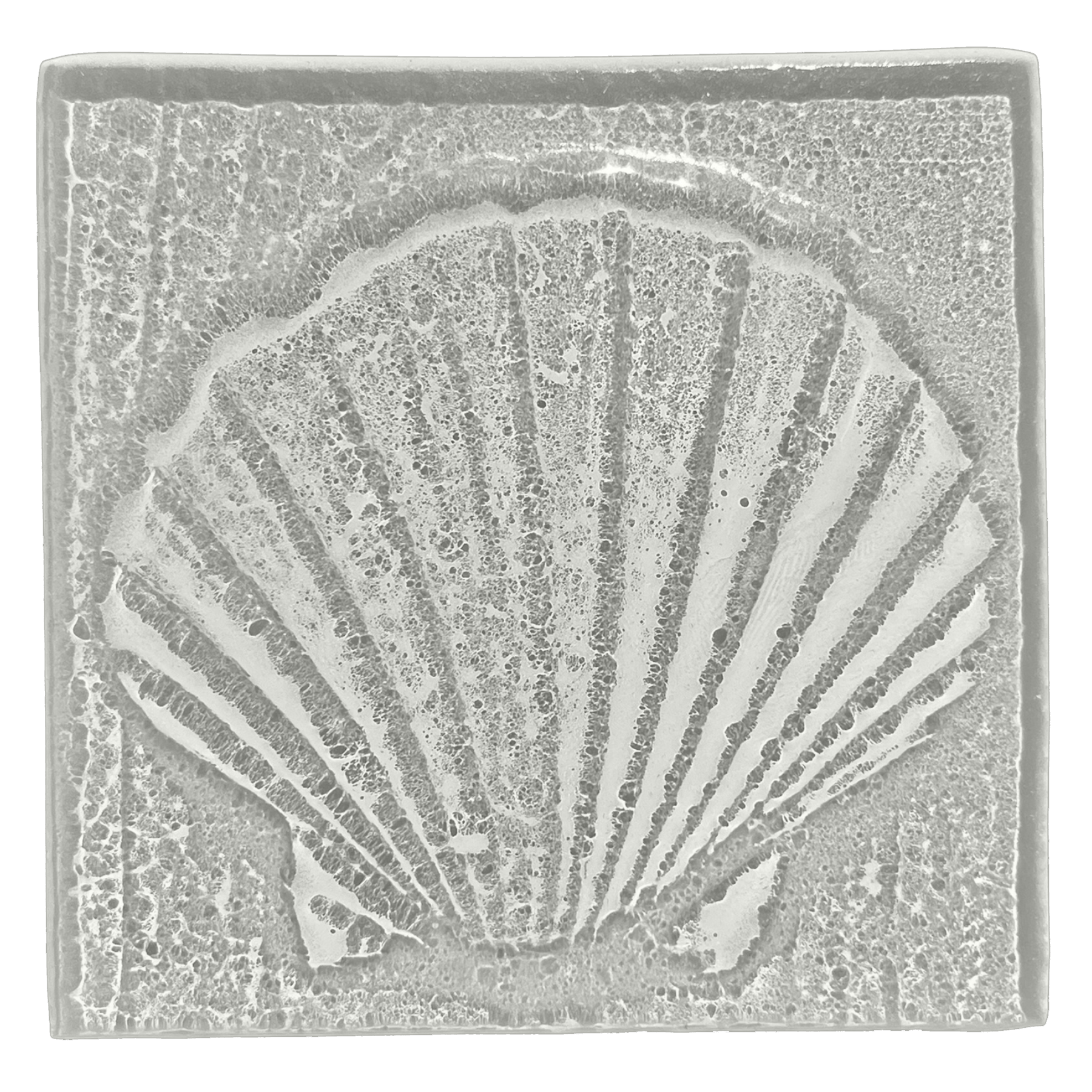 seashell-gray.png