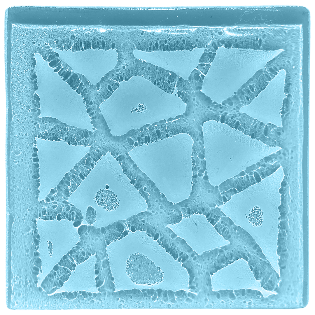 tessera-blue.png