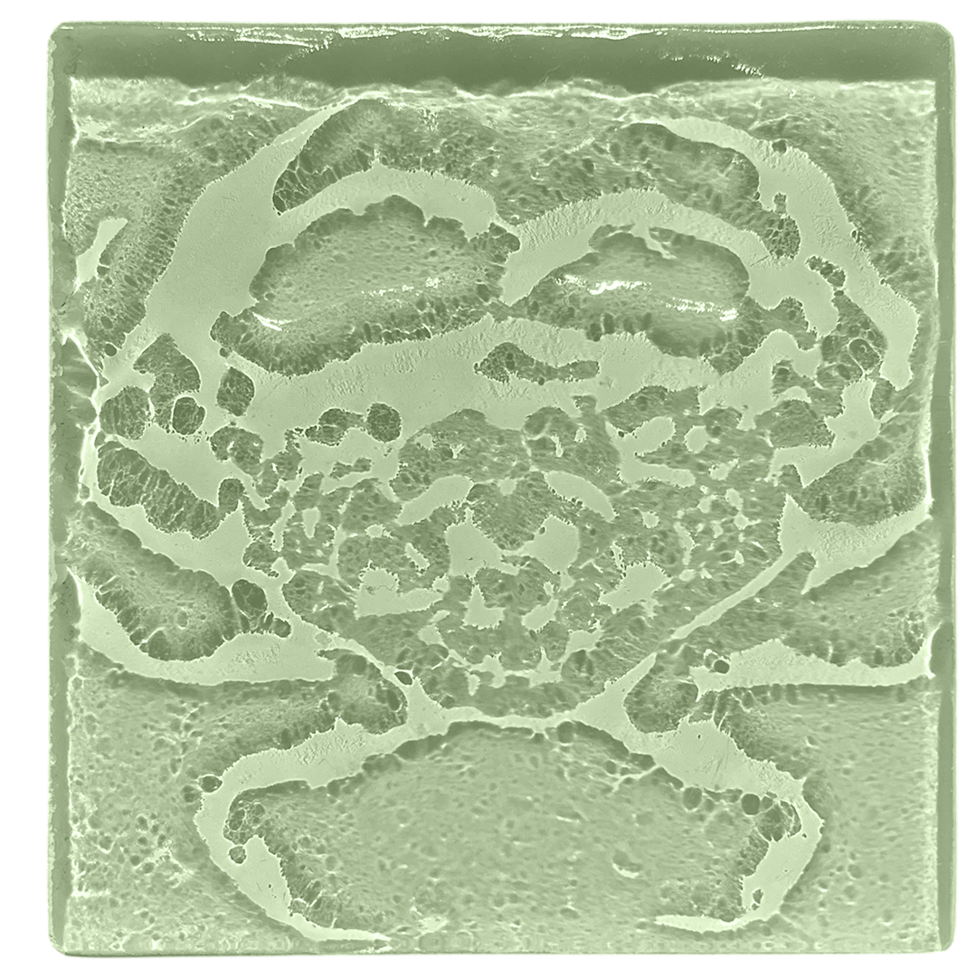 crab-seaglass.png