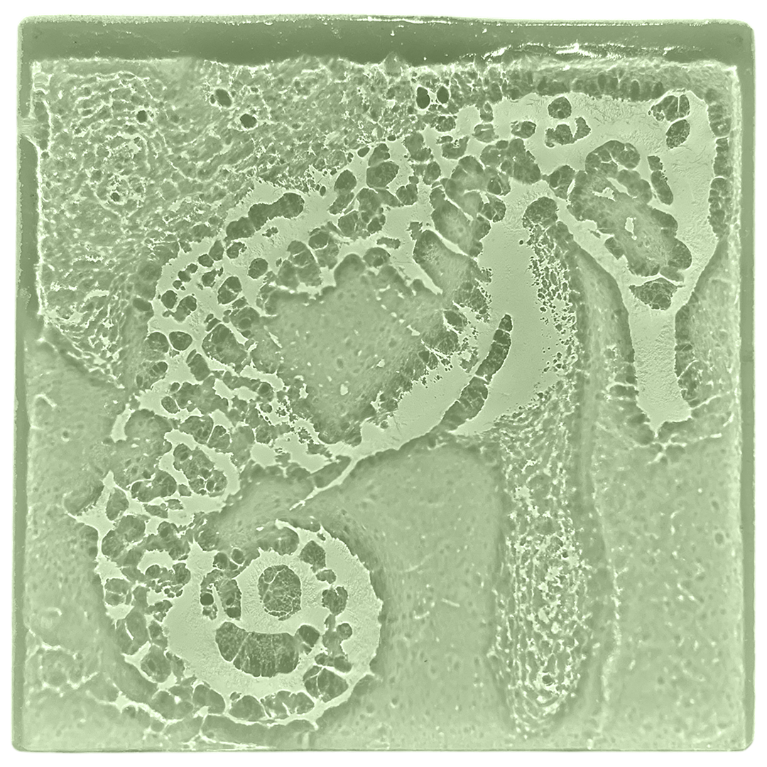 seahorse-seaglass.png